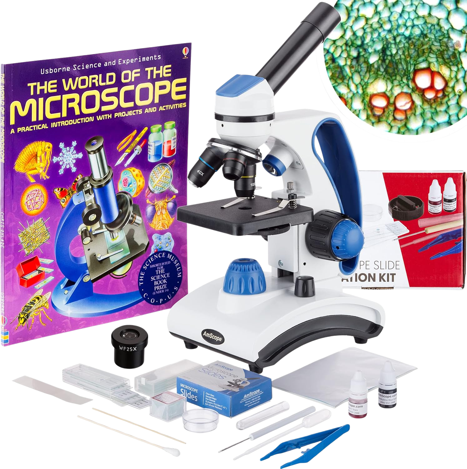 Icon for Microscope
